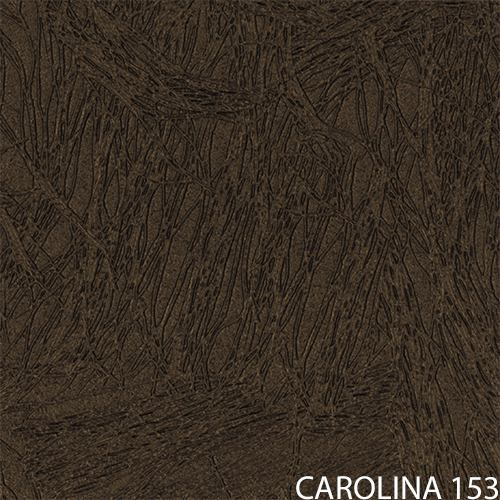 carolina 153_new_popis